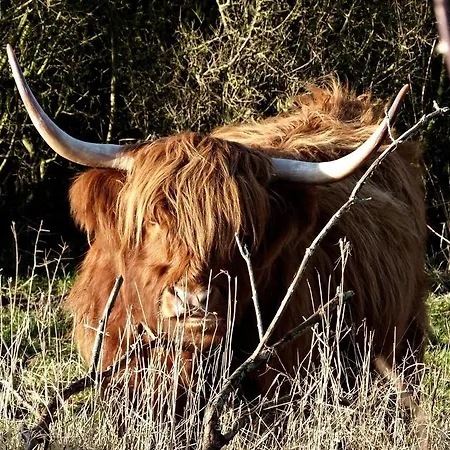 Smucke Stuuv Ii & Iii *