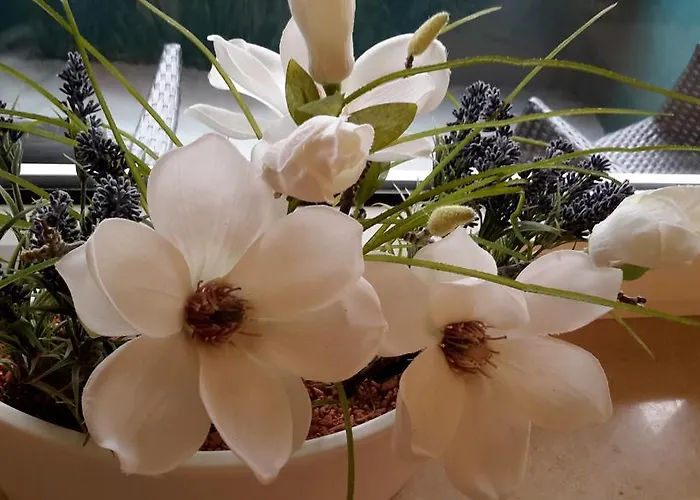 Smucke Stuuv Ii & Iii *